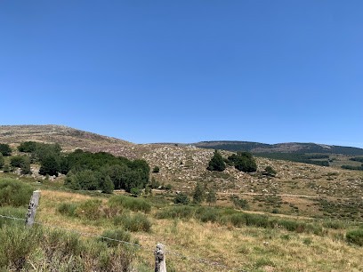 Les Crinières Transhumantes | Balade à Cheval Mont Lozère, Centre Equestres à Pont de Montvert - Sud Mont Lozère