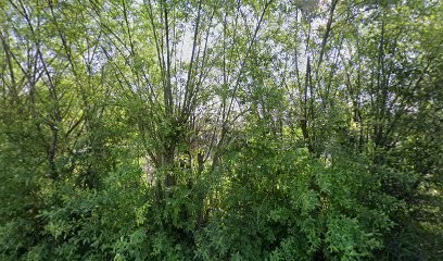 Les Écuries Du Bois Des Forts, Centre Equestres à Téteghem-Coudekerque-Village