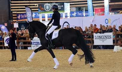 Ecuries de Brevam, Pension pour Chevaux à Bailleul