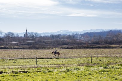 Ecurie Jtm, Pension pour Chevaux à Saint-Michel