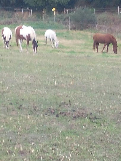 Jak equita, Centre Equestres à Pluherlin