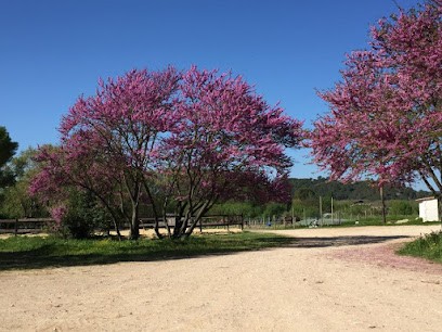 ÉCURIE DU MAS DE GENTIL BY 2 T JUMP, Pension pour Chevaux à Combaillaux