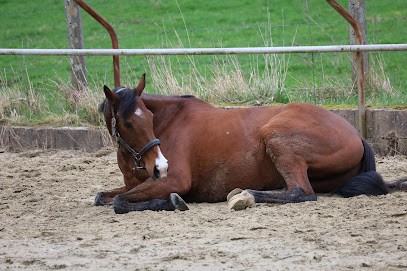 Écurie MM Horses Rieux, Centre Equestres à Rieux