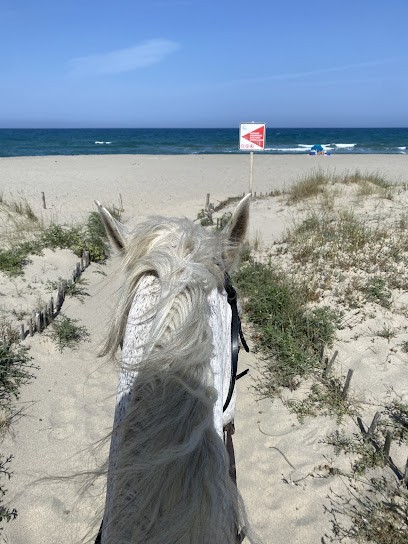 Center Of Equestrian Tourism Le Cheval Andalou, Centre Equestres à Saint-Cyprien