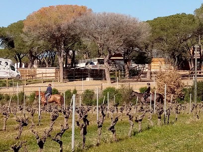 Domaine Equestre du Pellicot, Pension pour Chevaux à Puget-sur-Argens