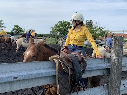 RANCH DES BUTTONS PENSION, Pension pour Chevaux à Rosnay
