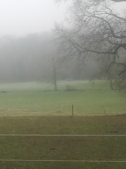 Equidys- Elevage d'IO, Centre Equestres à Saint-Michel-de-Bannières
