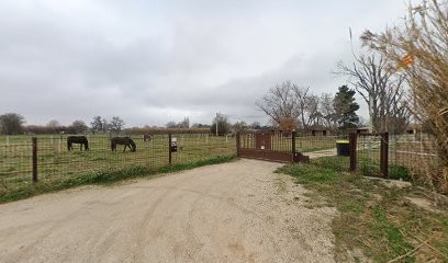ECURIES EL CORTALET, Centre Equestres à Pia