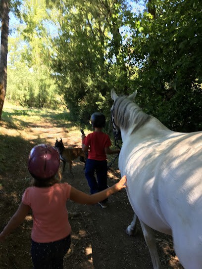 Les Écuries d’Aphrodite, Pension pour Chevaux à Plainoiseau