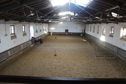 Equine Society Veterinary Ecole of Alfort, Centre Equestres à Créteil
