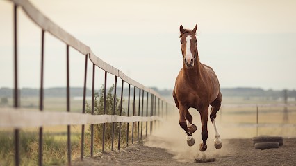 EARL DES QUATRE SABOTS, Centre Equestres à Sery