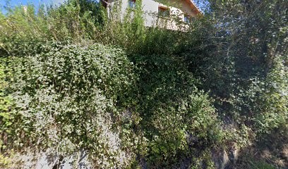 Equestrian Space Du Trièves, Centre Equestres à Roissard