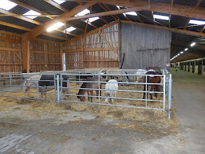 Stables De La Papote, Centre Equestres à Morbecque