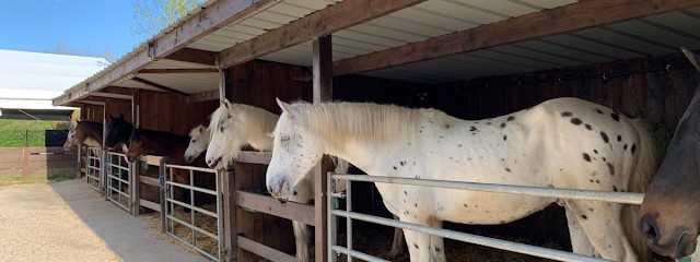 Pony Club Rueil Malmaison, Centre Equestres à Rueil-Malmaison