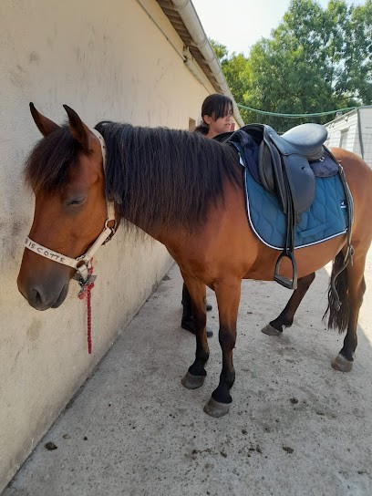Les Ecuries De La Provostière, Centre Equestres à Riaillé