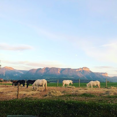 Les Ecuries Des Rosay, Centre Equestres à Groisy