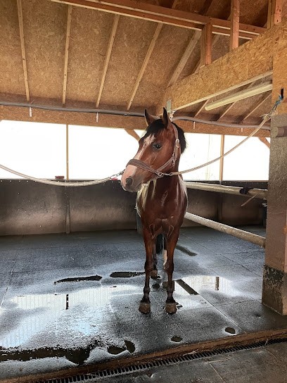 Hbcm Jumping, Centre Equestres à Divonne-les-Bains