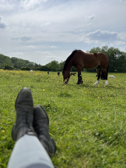 Ecuries De La Marsange, Centre Equestres à Tournan-en-Brie