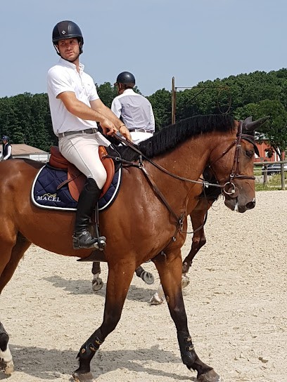 Écurie Simioni, Pension pour Chevaux à Fréjeville