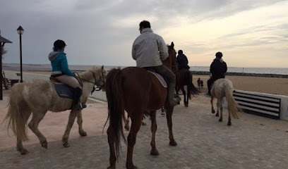 Association Marais En Selle, Centre Equestres à Yves