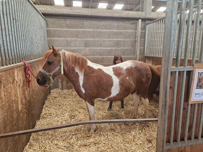 Le Stand'hippique 88, Centre Equestres à Neufchâteau