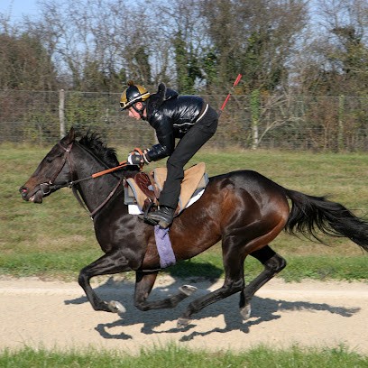 Ecurie du Levant, Pension pour Chevaux à Chazey-sur-Ain