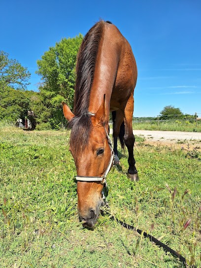 Haras de l'Olympe ( ouvert ), Pension pour Chevaux à Fuveau