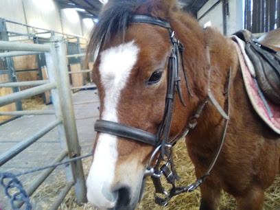 PONEY CLUB MONTAGNOLE, Centre Equestres à Montagnole