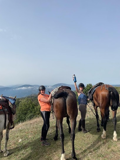 Cheval Cathare, Centre Equestres à Cucugnan