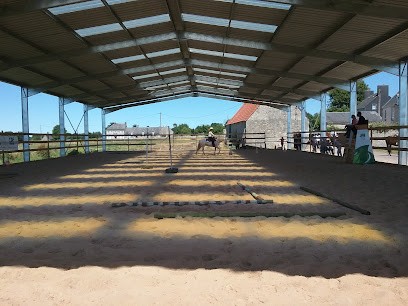 Normandy West Horse, Entreprise Individuelle, Pension pour Chevaux à Sainte-Mère-Église