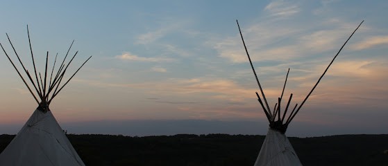 Equestrian Farm Du Mas De Laval, Centre Equestres à Salvagnac-Cajarc