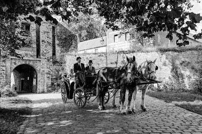 Les Calèches D'amandine, Centre Équestre à Wicquinghem