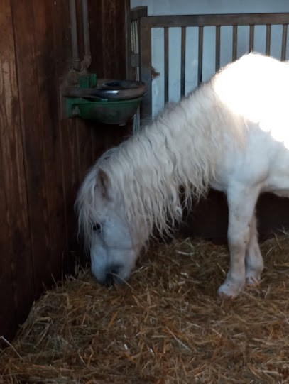 Equestrian Center La Cravache, Centre Equestres à Maîche