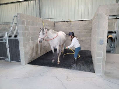 ECURIES DE LA VALLEE PICARD, Pension pour Chevaux à La Roche-Clermault