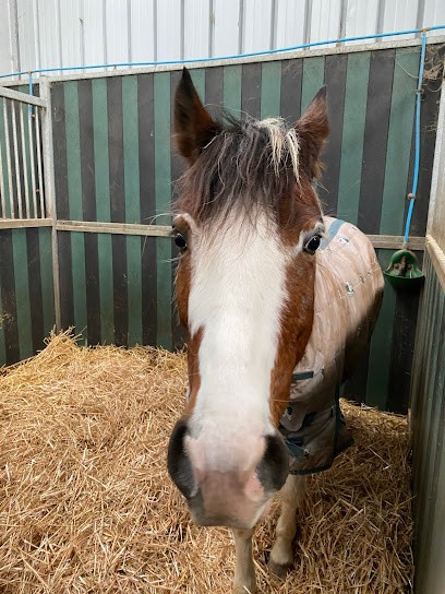 The Little Wild West, Centre Equestres au Pin