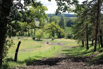 Écuries du Toulzot, Pension pour Chevaux à Montmoreau