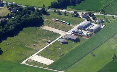 Écuries Divines, Centre Equestres à Vulbens