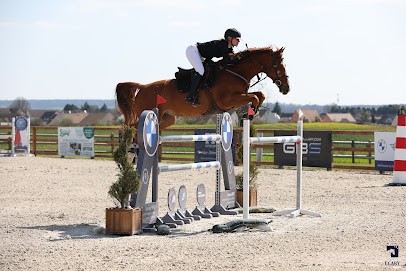 Stables De Magnanville, Centre Equestres à Magnanville