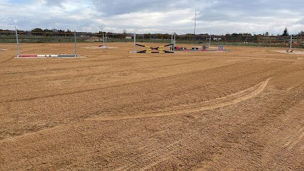 Breeding Écurie De Beloye, Pension pour Chevaux à Labastide-de-Lévis