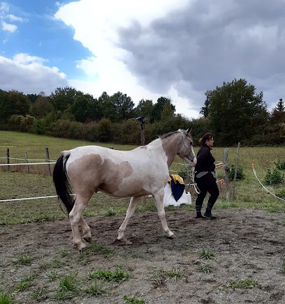L'equi-Libre & Cau, Centre Equestres à Pommeuse
