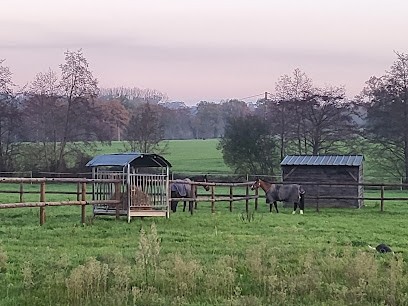 Domaine D'Albizia, Centre Equestres à Melesse