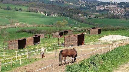 Brun de Ferme, Pension pour Chevaux à Vaugneray