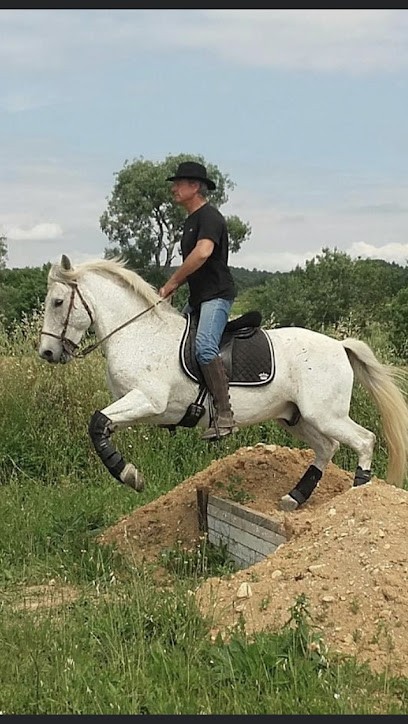 À Cheval Écuries Du Mas Des Montagnons, Pension pour Chevaux à Saint-Mamert-du-Gard