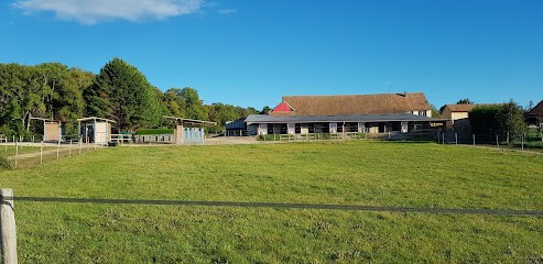 Pferdehof TIMENA, Pension pour Chevaux à Willer