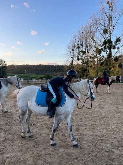 Stud Des Jonquilles, Centre Equestres à Pissy-Pôville