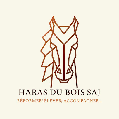 Haras Du Bois Saj, Centre Équestre à Saint-Paul-les-Fonts