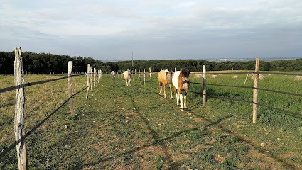 Roquembol Ranch Pension Paddock Paradise, Pension pour Chevaux à Muret