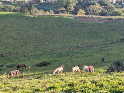 Ecuries De La Ruat Pension Pour Chevaux à Faverges-de-la-Tour