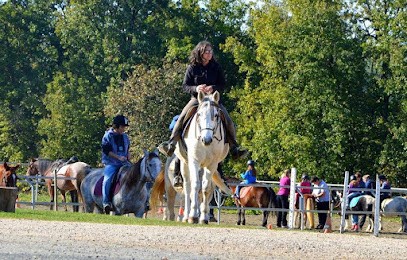 Farm Equestre De La Grésigne, Centre Equestres à Saint-Beauzile