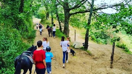 Les Écuries D'en Borrel, Centre Equestres aux Cammazes